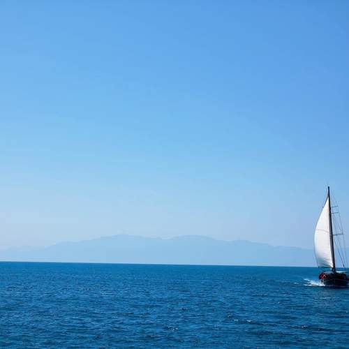 Photo #13677599