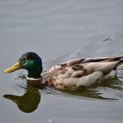 Photo #13677621
