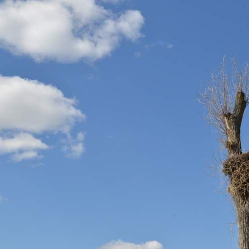 Photo #13677623