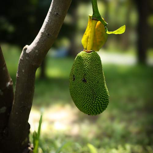 Photo #13677639