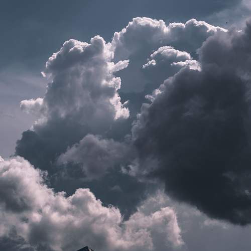 Photo #13677726
