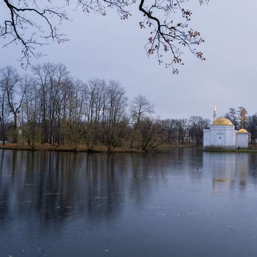Photo #13677738