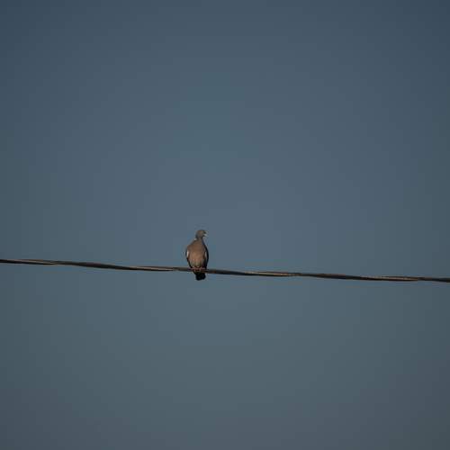 Photo #13677772