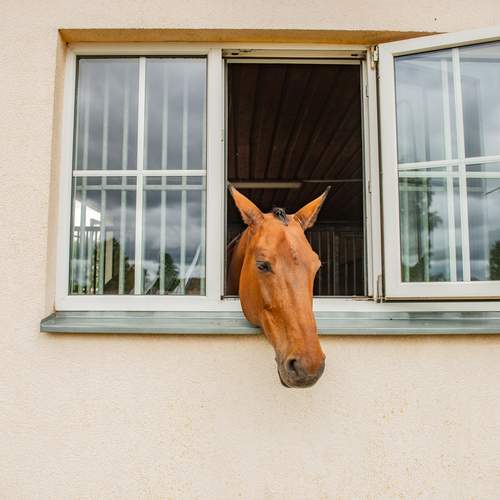 Photo #13677773