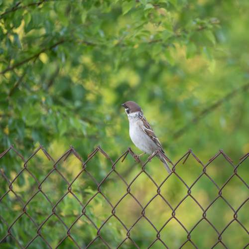 Photo #13677774