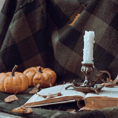 Photo #13677820