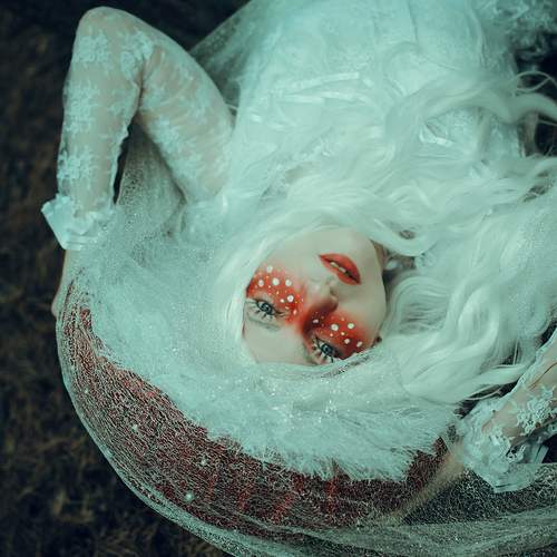 Photo #13677848