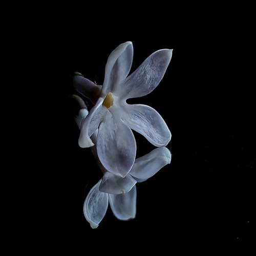 Photo #13677849
