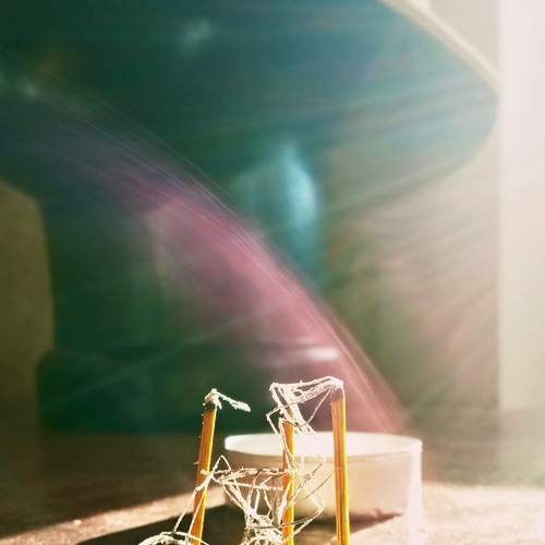 Photo #13677873