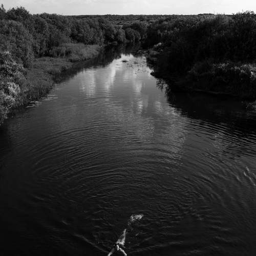 Photo #13677922