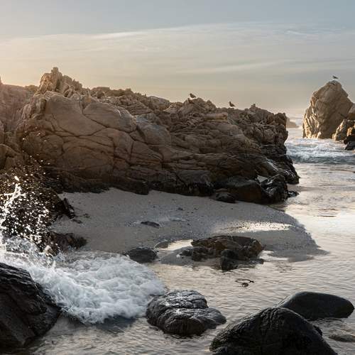 Photo #13678063