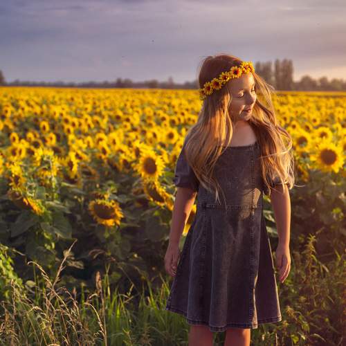 Photo #13678083