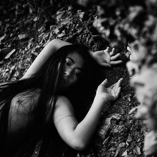 Photo #13678100