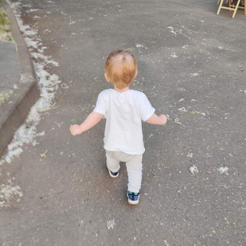 Photo #13678189