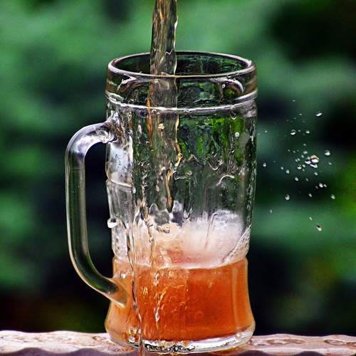 Photo #13678238