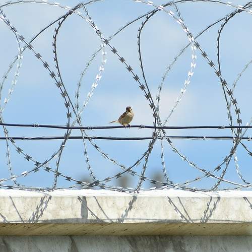 Photo #13678239