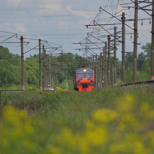Photo #13678263