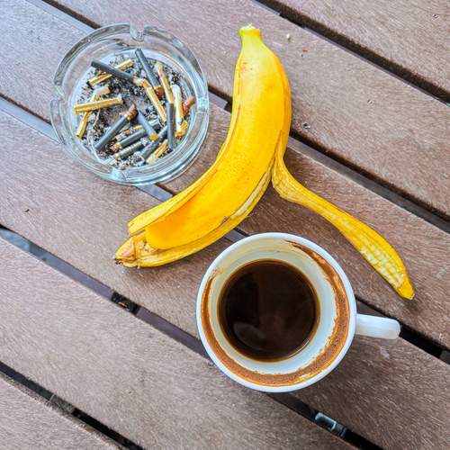 Photo #13678283