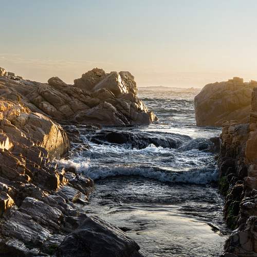 Photo #13678361