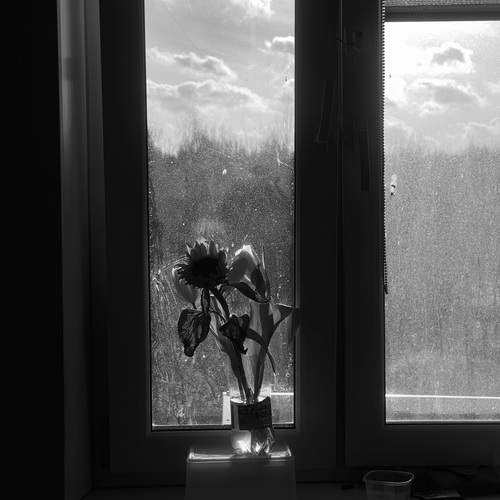 Photo #13678384