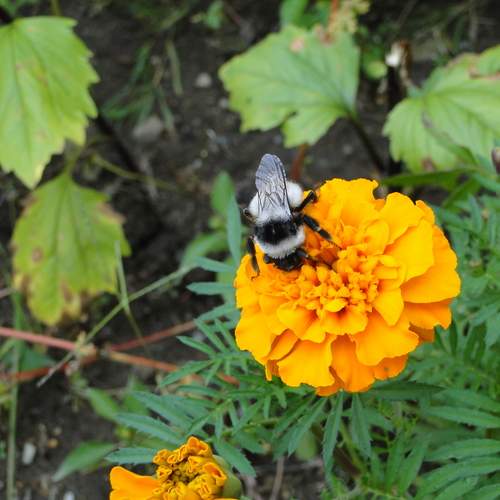 Photo #13678393