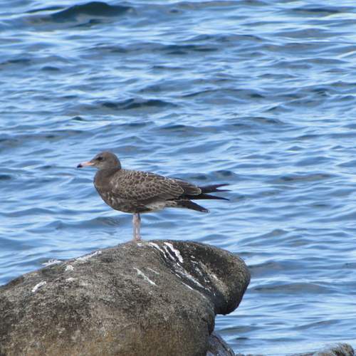 Photo #13678396