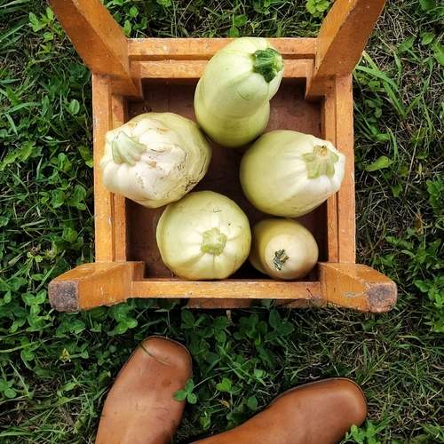 Photo #13678428