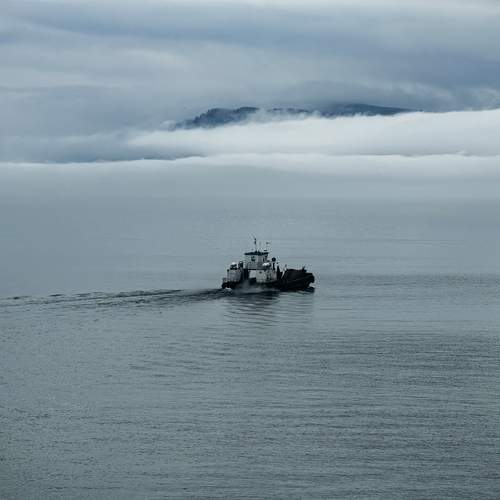Photo #13678499