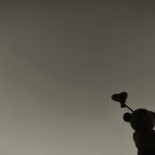 Photo #13678657