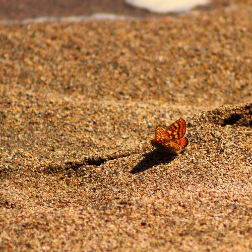 Photo #13678684