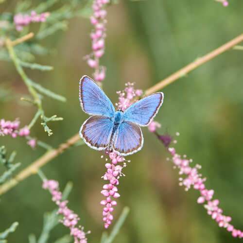 Photo #13678758