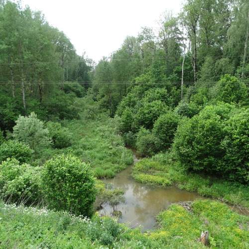 Photo #13678768