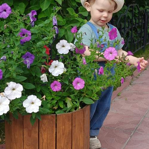 Photo #13678858