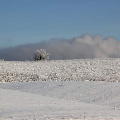 Photo #13678865