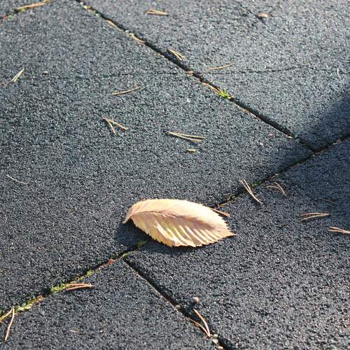 Photo #13678873