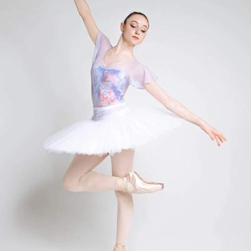 Photo #13678908