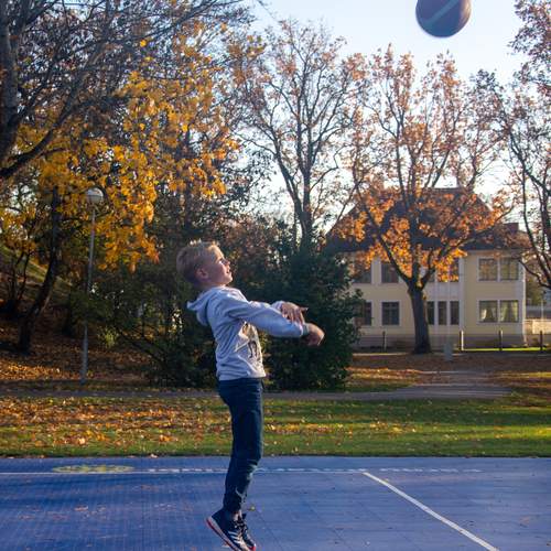 Photo #13678973