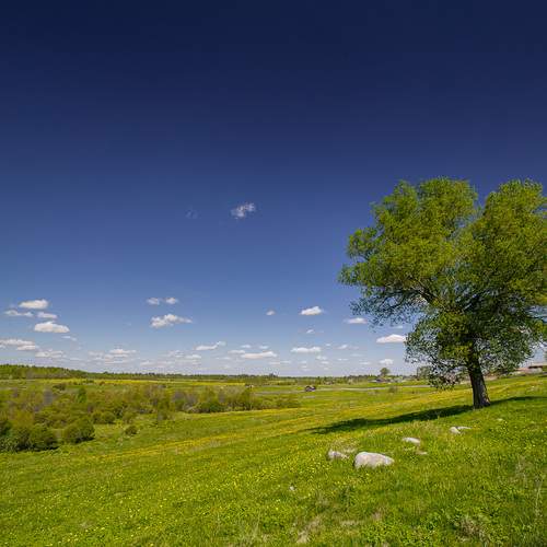 Photo #13679026