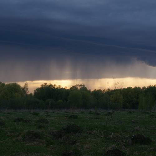Photo #13679117