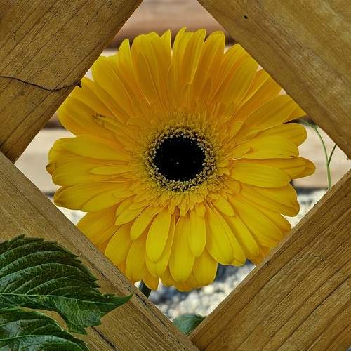 Photo #13679143