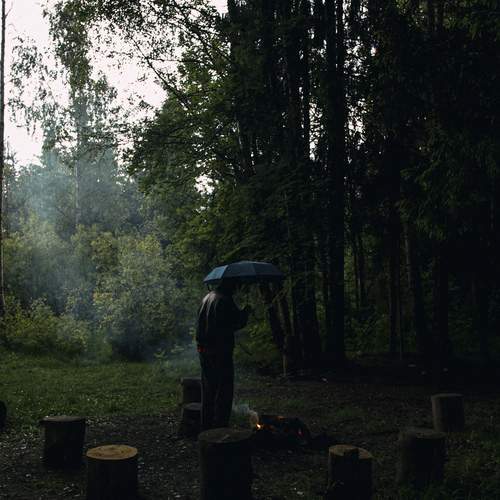 Photo #13679171