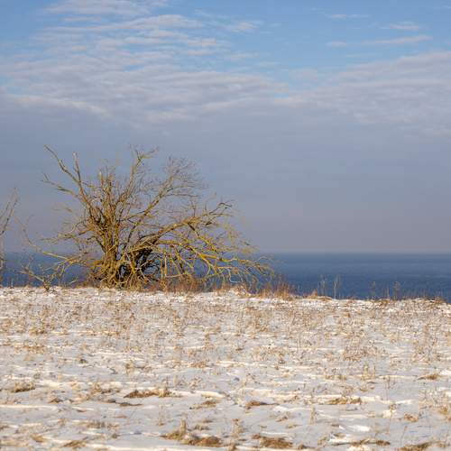 Photo #13679222
