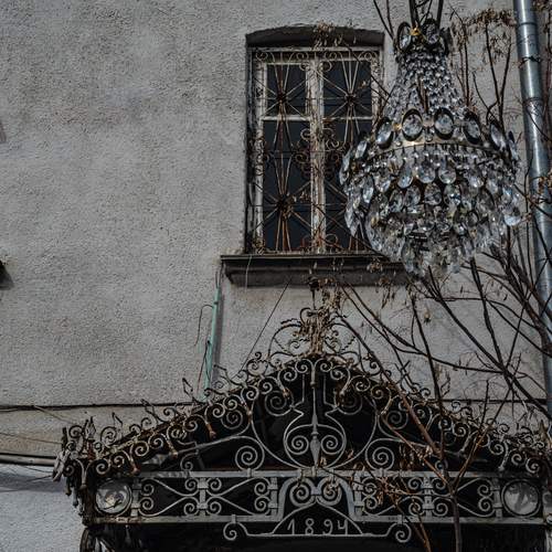 Photo #13679225