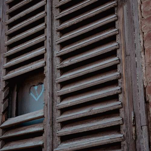 Photo #13679226