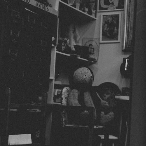 Photo #13679230