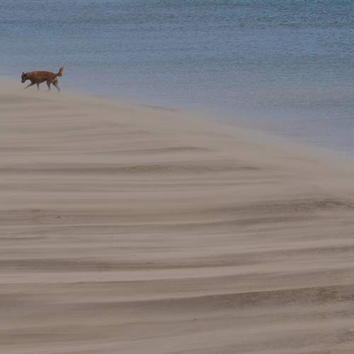 Photo #13679328
