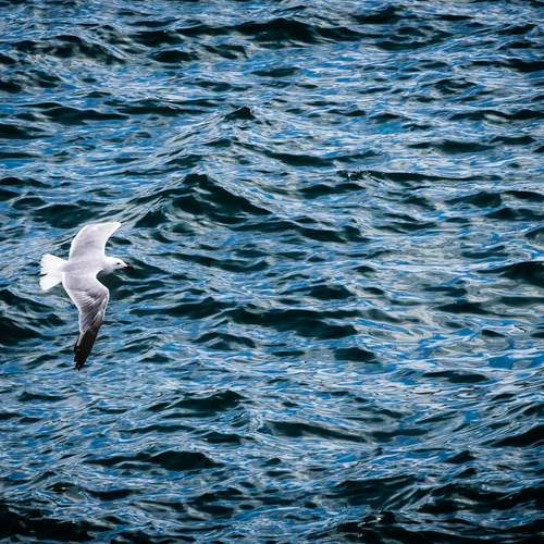 Photo #13679337