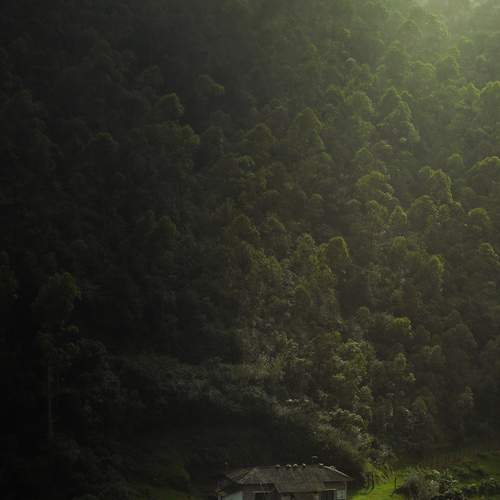 Photo #13679411