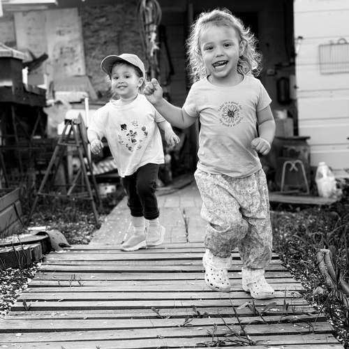 Photo #13679454