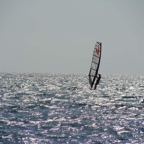 Photo #13679461